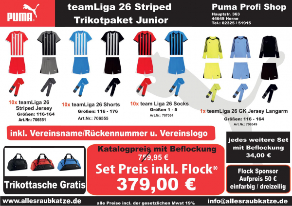Puma teamLiga26 Matchday Jersey Trikotsatz